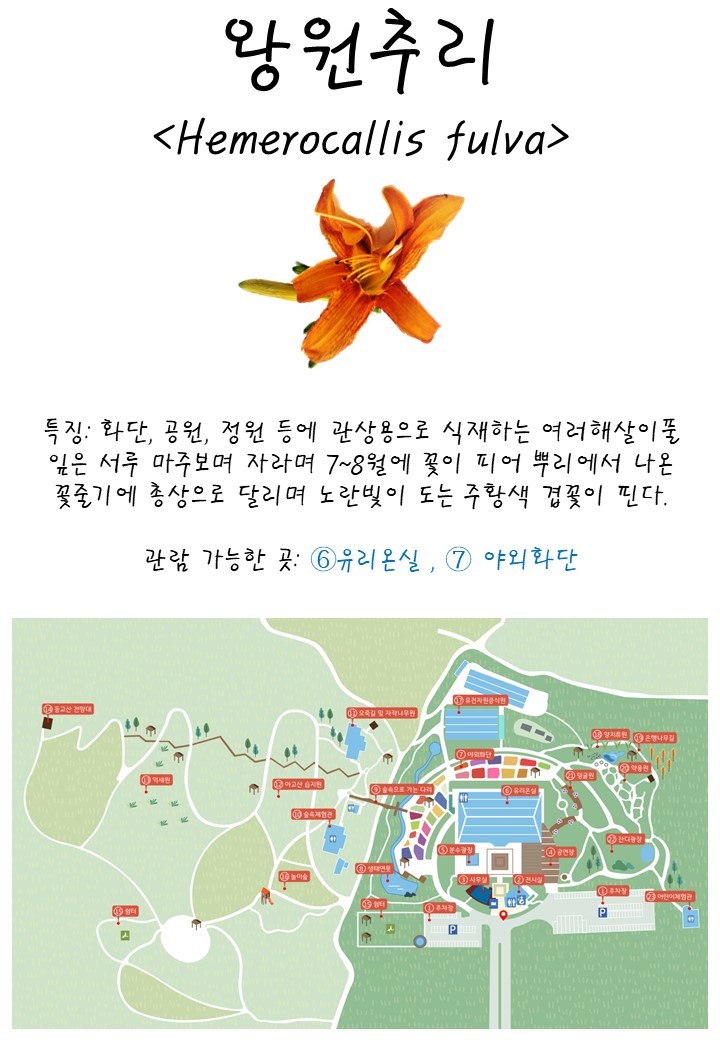 7월의 우리꽃식물원